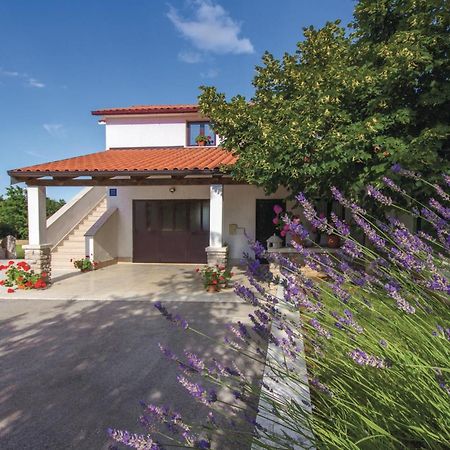 Amazing Apartment In Pazin With Wifi Katun Lindarski 外观 照片